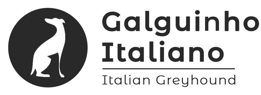 logo galguinho italiano