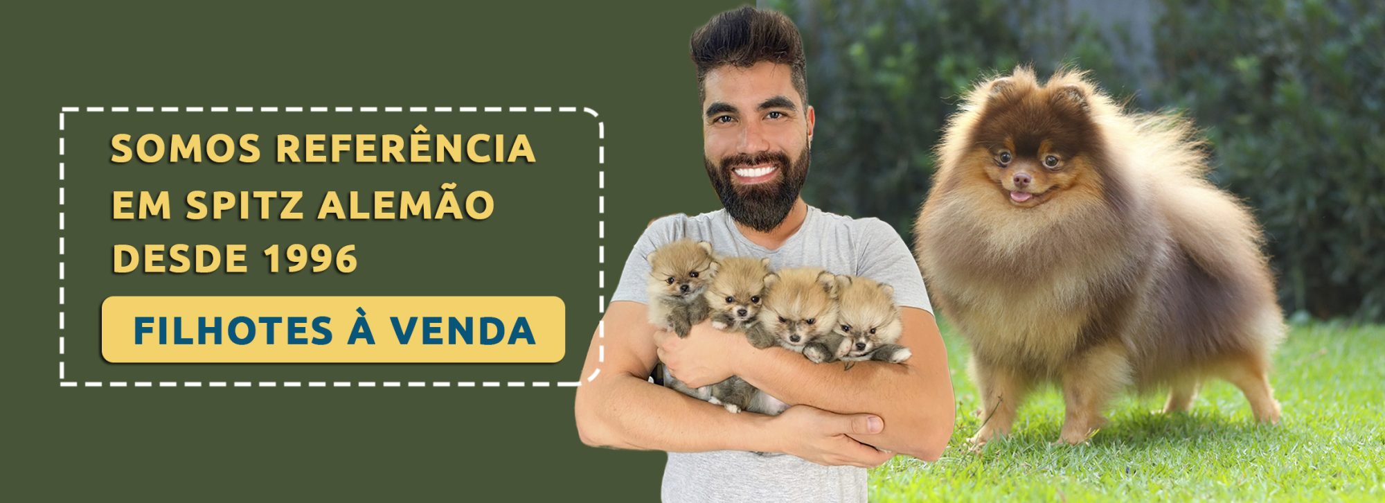 banner canil flor do tijuco, especializado em spitz alemão